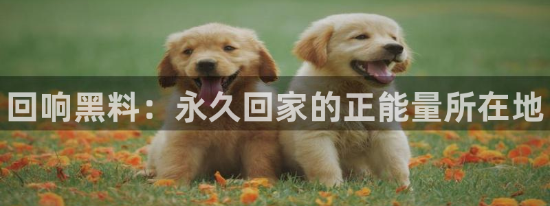 吃小瓜舌头尖疼是为什么