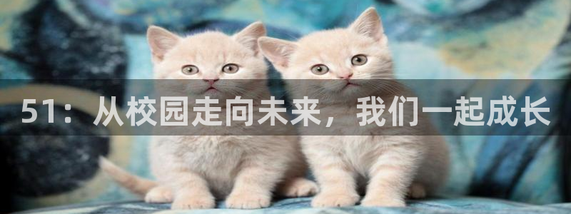 51吃瓜nanataipei：51：从校园走向未来，我们一起成长