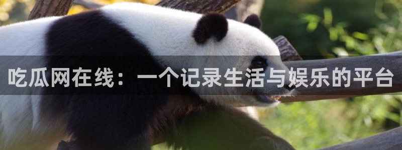 51吃瓜全网更新最快：吃瓜网在线：一个记录生活与娱乐的平台