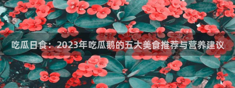 51cgfun每日吃瓜：吃瓜日食：2023年吃瓜鹅的五大美食推荐与营养建议