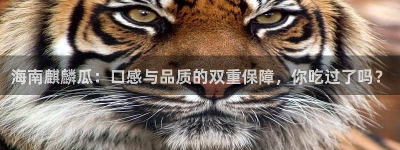 51吃瓜网今日榜单：海南麒麟瓜：口感与品质的双重保障，你吃过了吗？