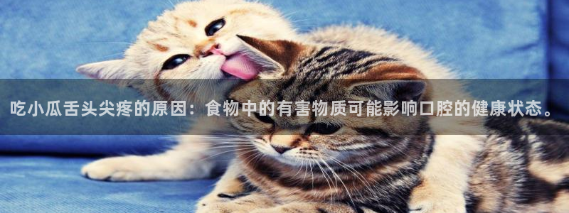 ccggme吃瓜网