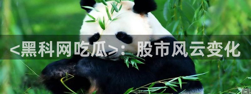 718.sⅹ 吃瓜：<黑科网吃瓜>：股市风云变化
