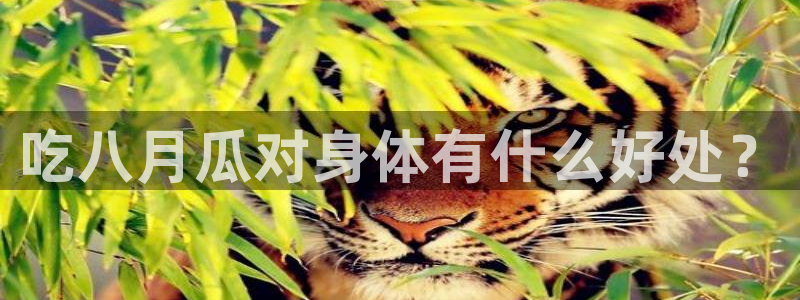 51吃瓜网51今日大大瓜：吃八月瓜对身体有什么好处？