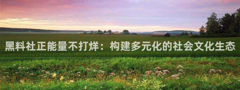 黑料专区