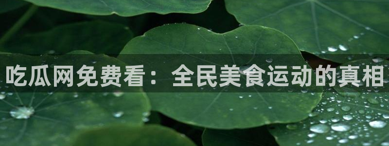 51吃瓜今日吃瓜必吃莫里：吃瓜网免费看：全民美食运动的真相
