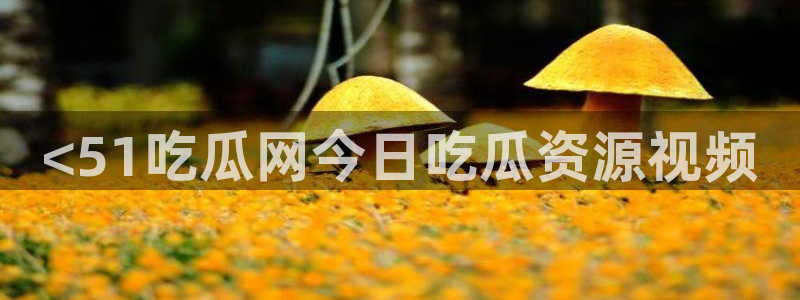 51吃瓜安卓下载