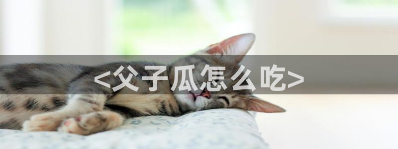 吃瓜：<父子瓜怎么吃>