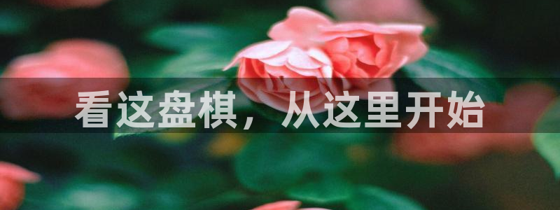 51吃瓜网今日吃瓜入口：看这盘棋，从这里开始