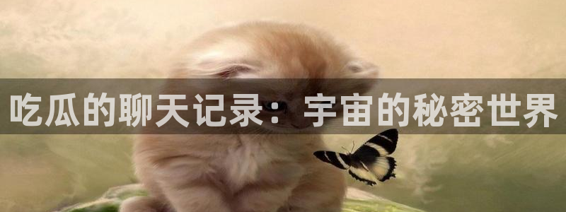 黑料,：吃瓜的聊天记录：宇宙的秘密世界