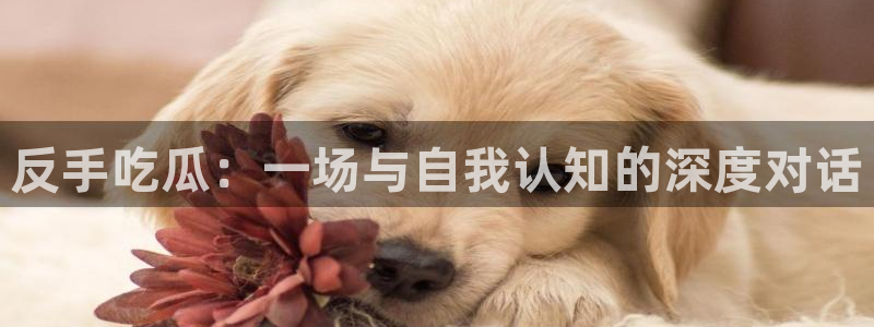 吃瓜今日吃瓜热门大瓜