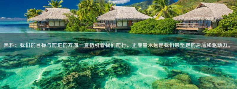 黑料专区