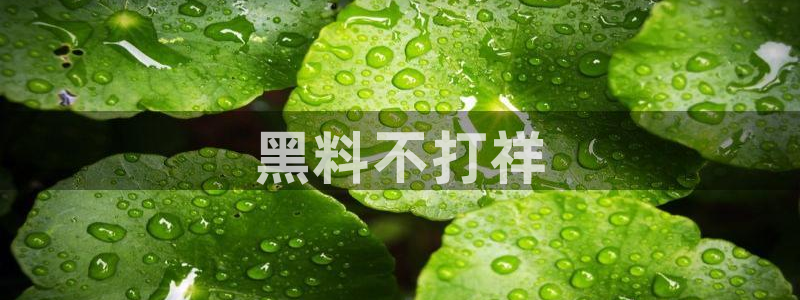 51吃瓜网今日榜单