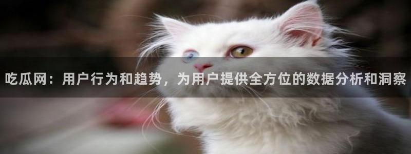 www.吃瓜.com:吃瓜网:用户行为和趋势,为用户提供全方位的数据分析和洞察