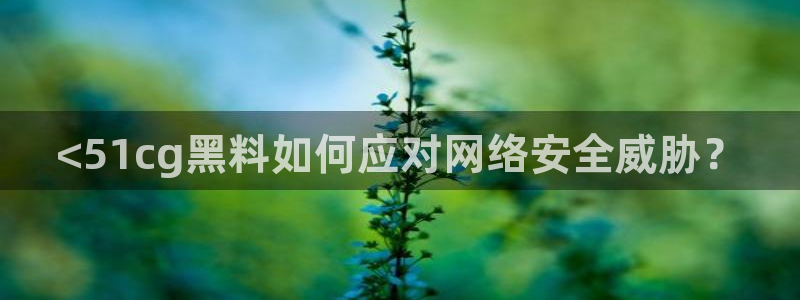 51吃瓜热心张津瑜:<51cg黑料如何应对网络安全威胁?