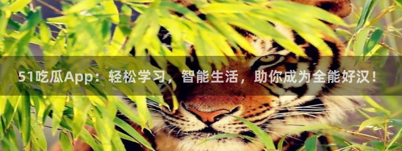 吃瓜爆料网不打烊回家:51吃瓜App:轻松学习,智能生活,助你成为全能好汉!