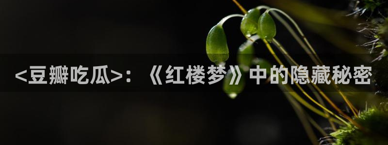 黑料,