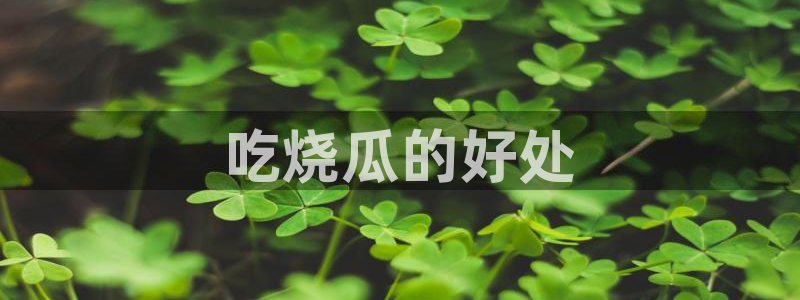 黑料免费:吃烧瓜的好处
