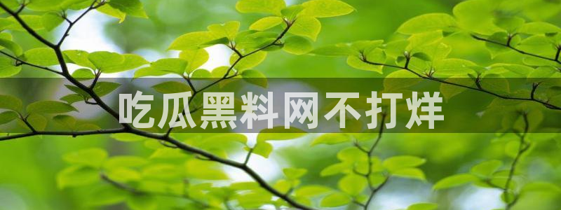 51cgfun吃瓜网怎么进:吃瓜黑料网不打烊