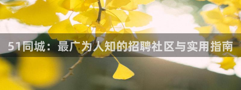 51吃瓜网今日必吃每日大瓜：51同城：最广为人知的招聘社区与实用指南