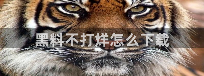 吃瓜是什么意思?：黑料不打烊怎么下载